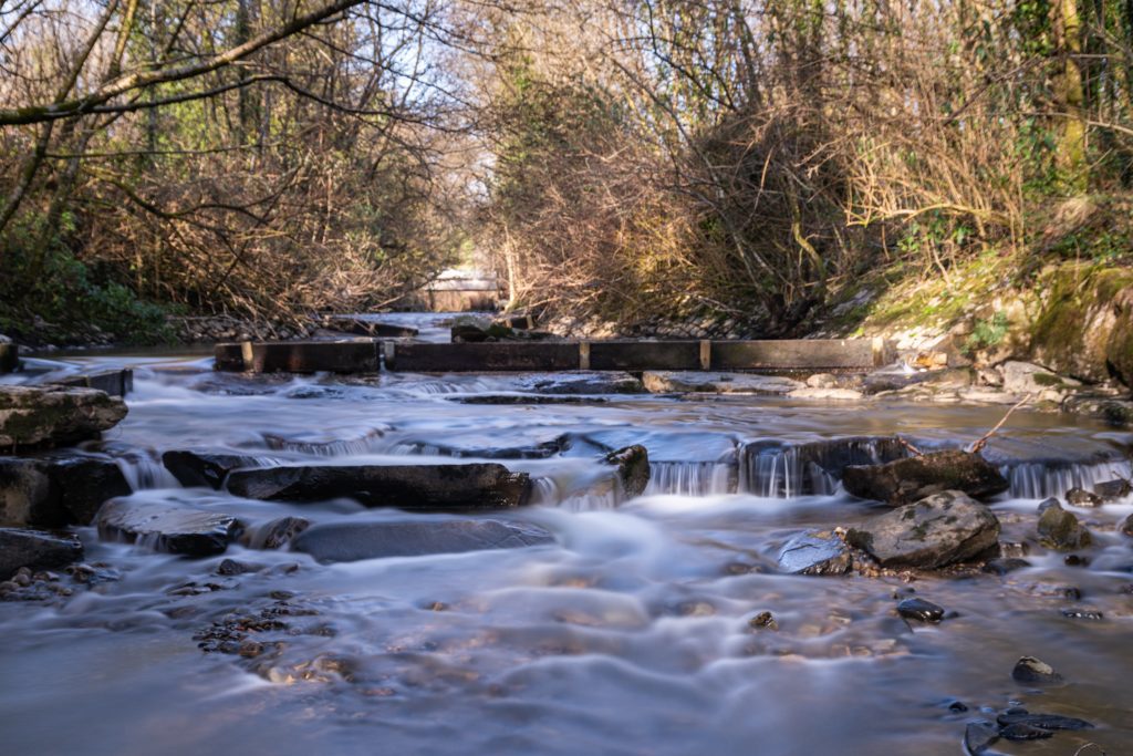 River Ely