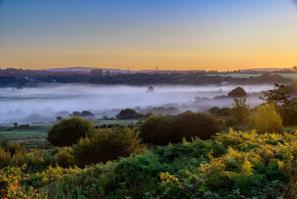 Mist over Llantrisant Common