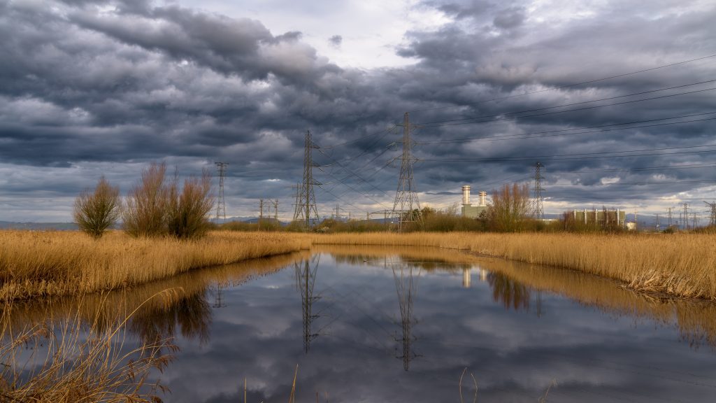 newport wetlands
