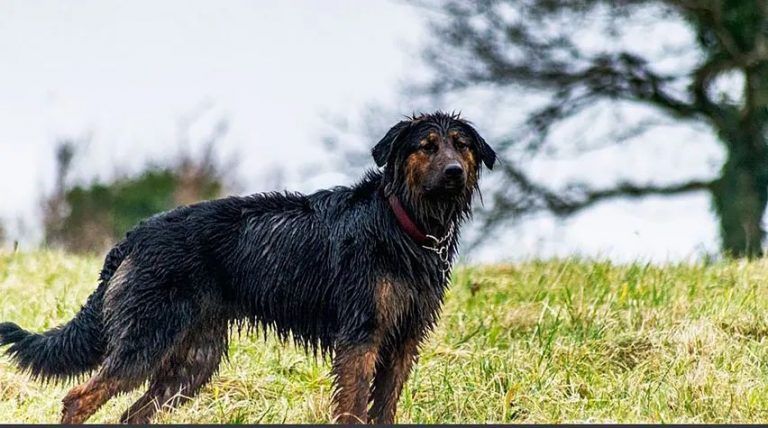 Freya, my partner in crime and grime