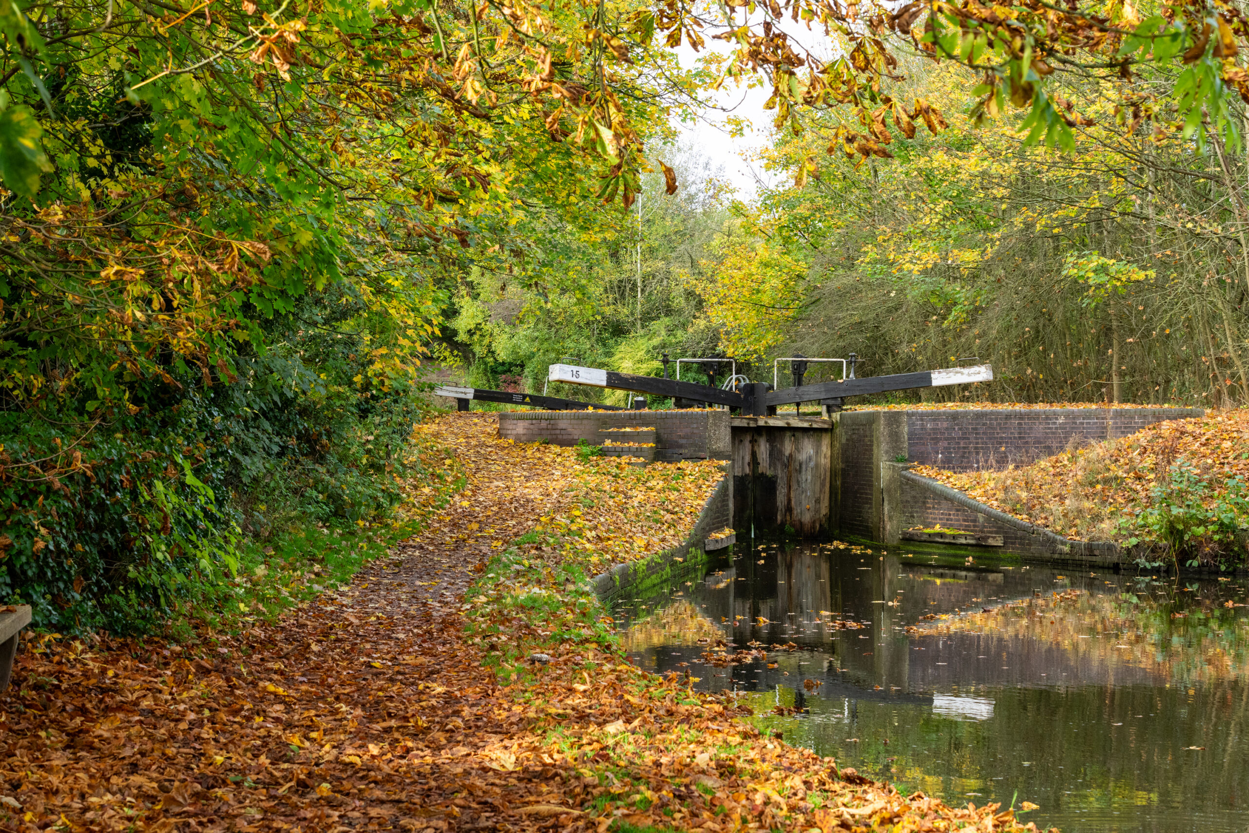 A scenic view of a canal lock gate numbered 15 in autumn, with a brick towpath covered in golden brown fallen leaves, surrounded by green and yellow trees reflecting in the still water.
