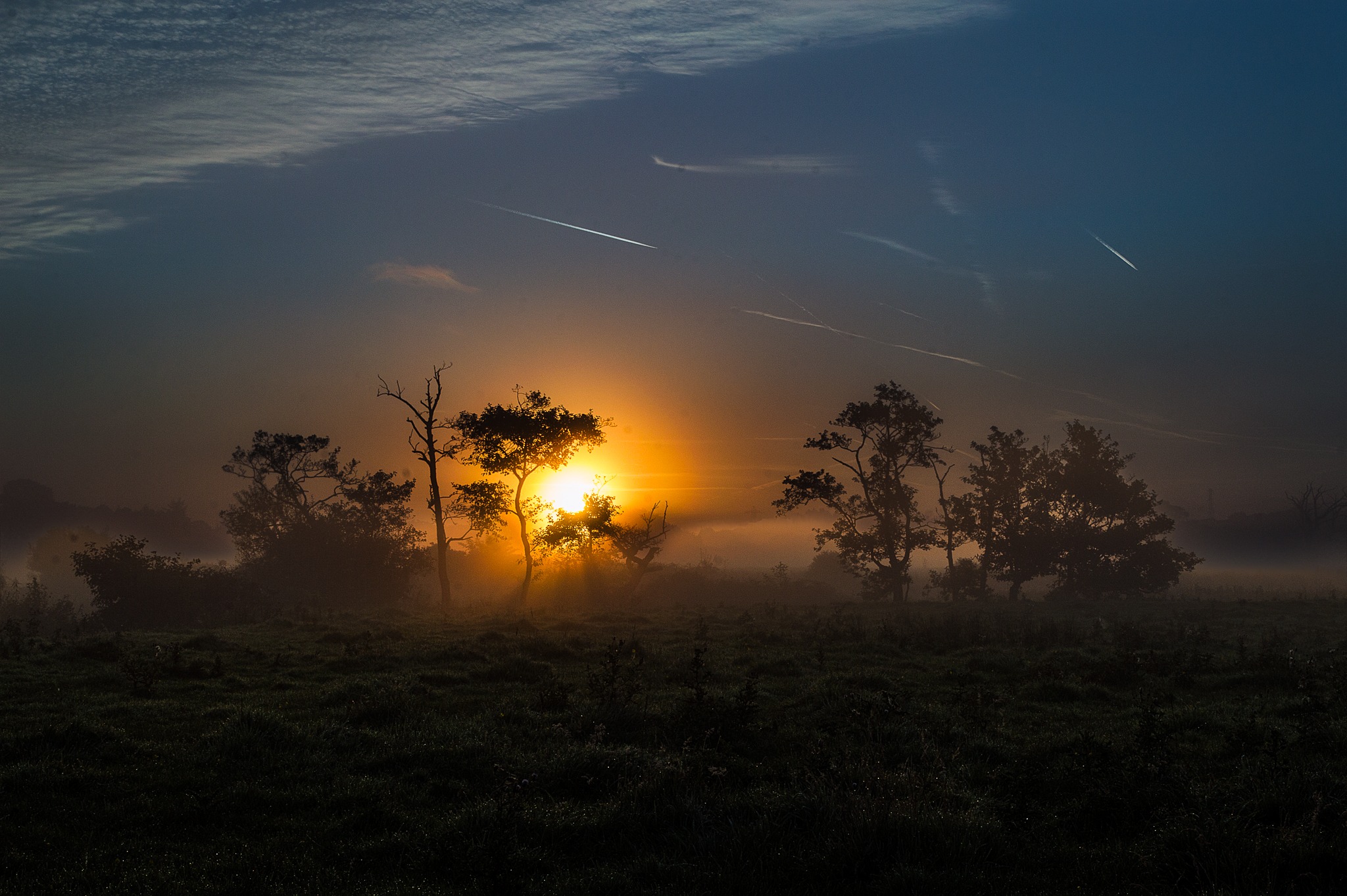 A glowing sunset peeking through silhouette trees and evening fog over a dark grassy meadow. Part of the landscape photography by Charlie Hannah