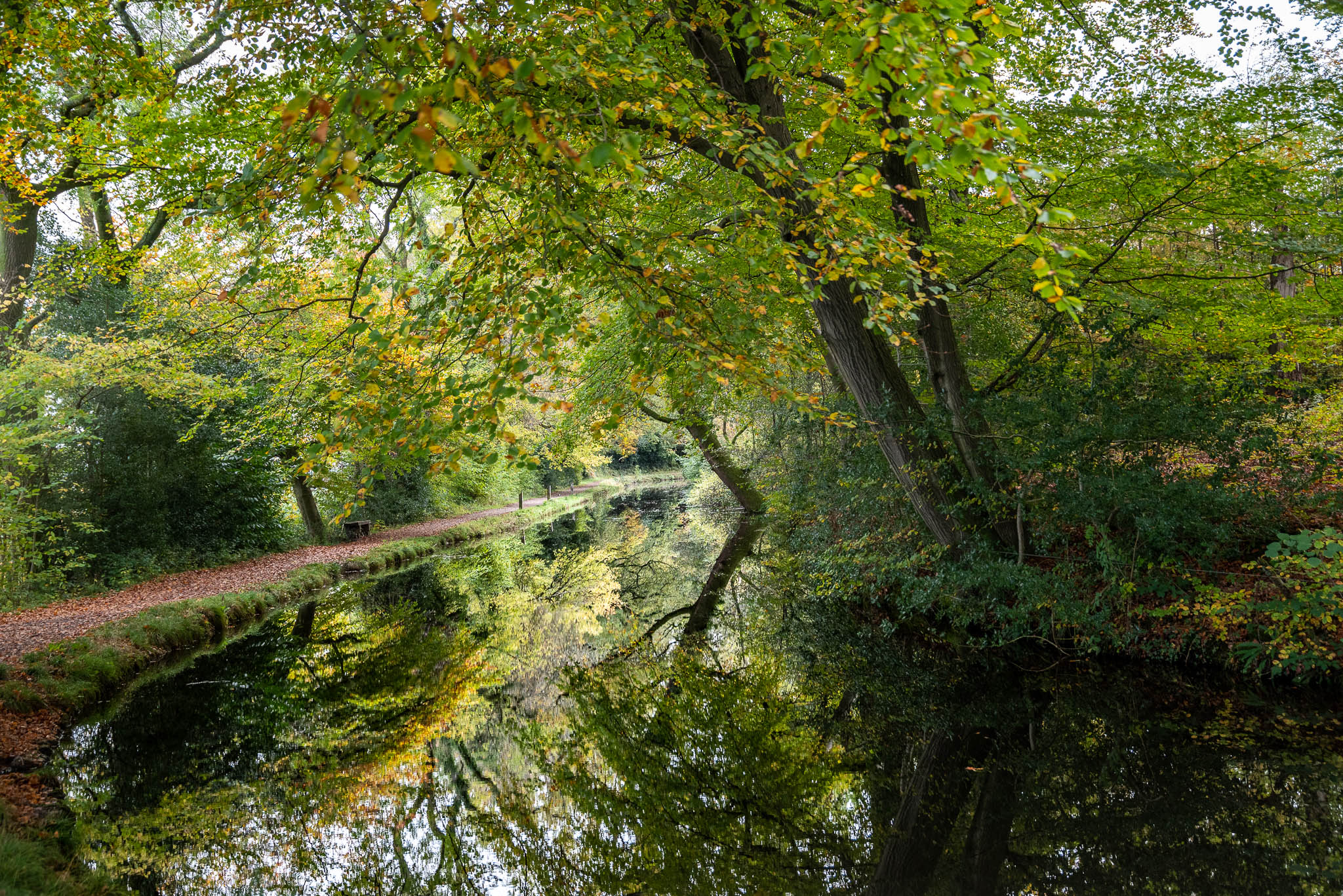 A tranquil canal in Wales with lush green and golden tree canopy overhead, a peaceful towpath on the left, and a glassy reflection on the water.