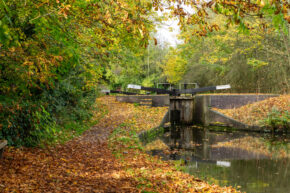 A scenic view of a canal lock gate numbered 15 in autumn, with a brick towpath covered in golden brown fallen leaves, surrounded by green and yellow trees reflecting in the still water.