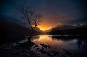 The world-famous Lonely Tree at LLyn Padarn, Llanberis, stands watch over another Eryri National Park sunrise while an open-water swimmer takes to the water in the distance. The iconic lone tree of Llyn Padarn in Snowdonia at sunrise, showing a dramatic orange sky reflecting perfectly on the calm lake water with slate rocks in the foreground.
