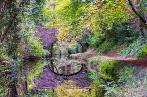 A stone arch bridge over a calm canal in Wales surrounded by lush autumn trees, creating a flawless geometric circle reflection in the still water.