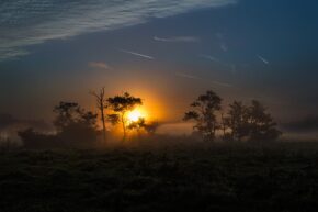 A glowing sunset peeking through silhouette trees and evening fog over a dark grassy meadow. Part of the landscape photography by Charlie Hannah