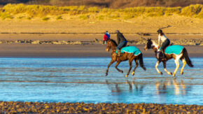 Dynamic equestrian sports and outdoor photography capturing horses and riders moving along the Welsh coastline. Two horse riders cantering along the sandy beach at Ogmore-by-Sea in Wales with bright blue blankets.