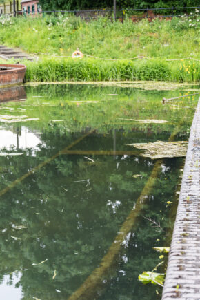 Fine art canal photography by Charlie Hannah ARPS, looking into clear, green canal water where old submerged timber structures are faintly visible beneath the surface.