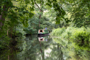 A green and white narrowboat cruising down a serene canal, framed by overhead green tree branches and glassy water reflections.