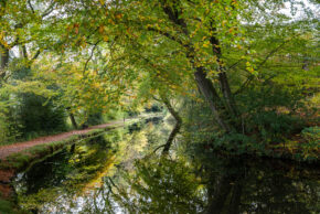 A tranquil canal in Wales with lush green and golden tree canopy overhead, a peaceful towpath on the left, and a glassy reflection on the water.