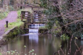 Fine art canal photography by Charlie Hannah ARPS, showcasing a scenic multi-tiered lock system with cascading waterfalls flowing through a wooded British canal. Old Glamorganshire Canal