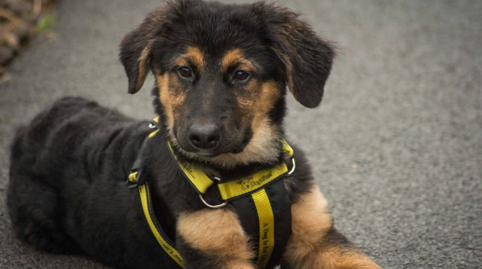 462155459_2488440708017096_341482800928098466_n