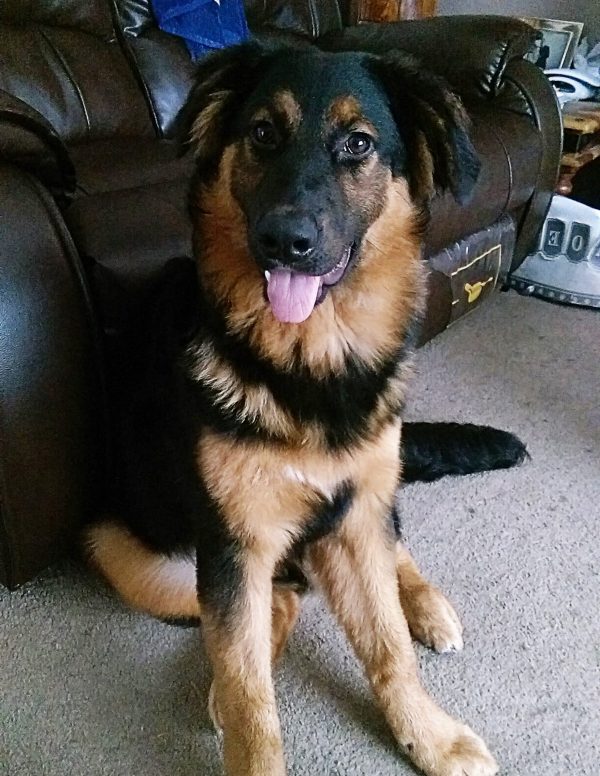 IMAG0052_BURST001 copy